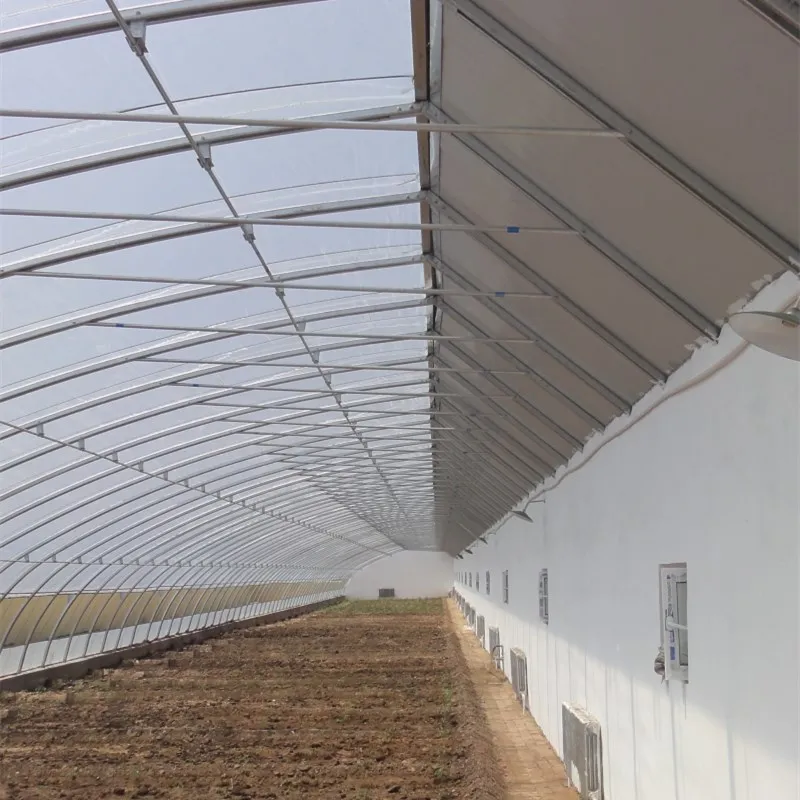 Kaufen Sie mit niedrigem Preis german Stück Sets Großhandel german