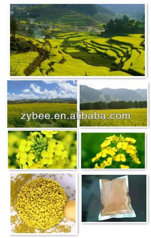 1074671461098966165_