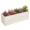 Assorted Artificial Succulent Plants in Vintage White Wood Rectangle Planter Box
