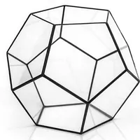 

Various design flowers Geometric Dodecahedron Terrarium for wedding centerpieces