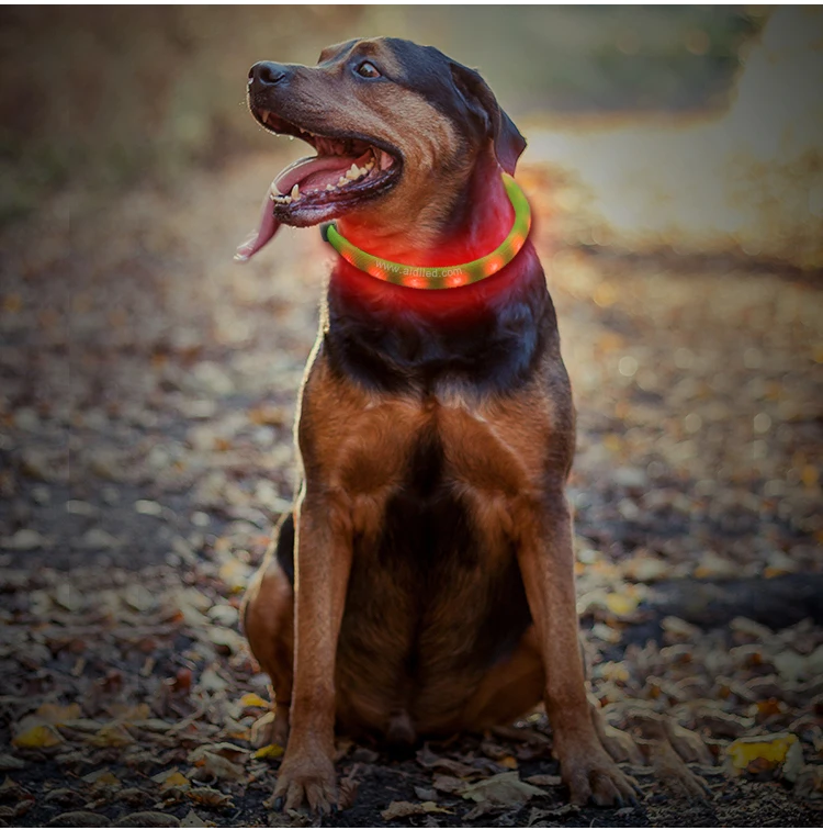 Nylon Fish Filament Cover RGB Colorful Dog Collar with 450mAh USB Rechargeable Battery Flashing RGB Dog Collar