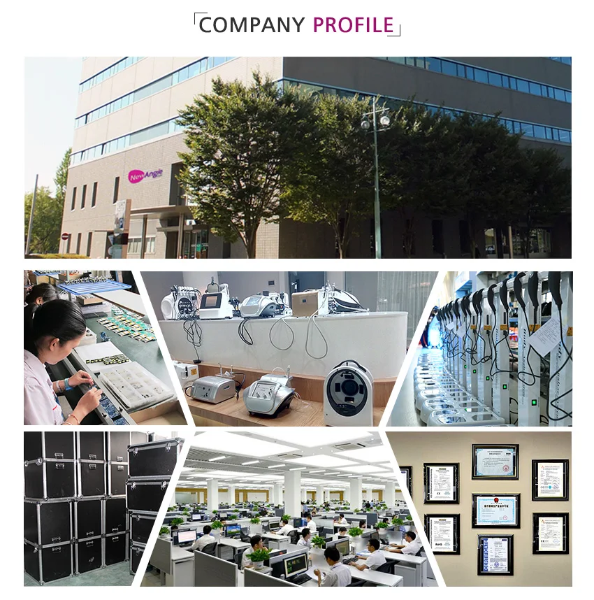 chinanewangie company