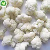 IQF Export vegetables frozen cauliflower in bulk
