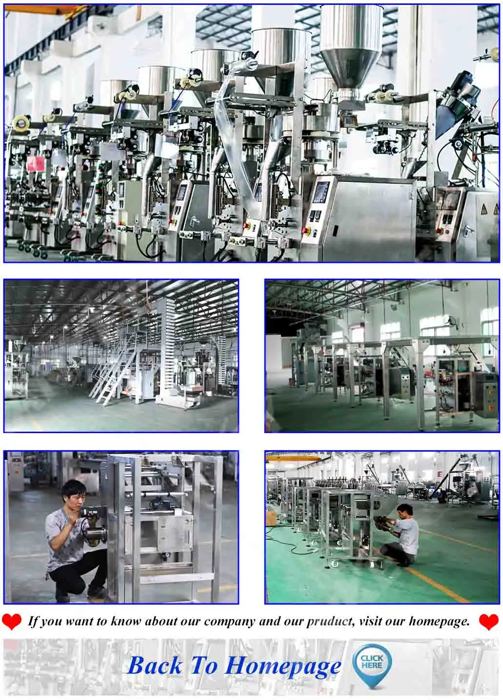 company information 