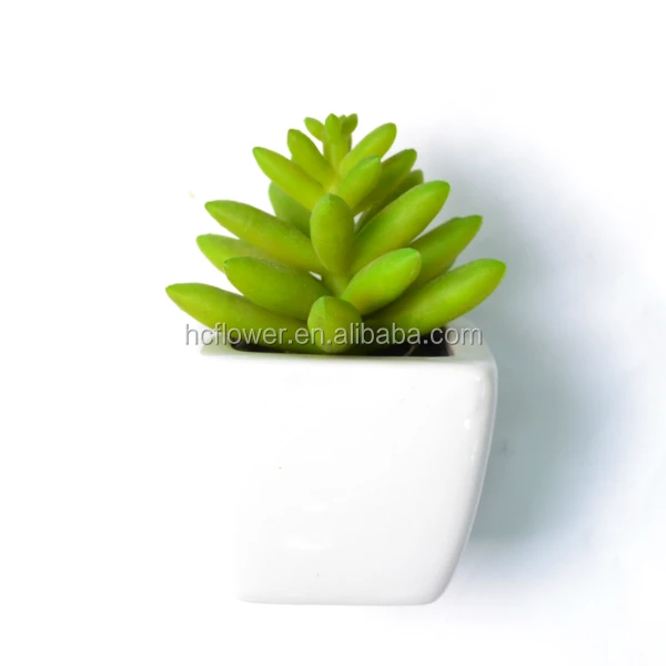Mini Artificial Jade Succulent In Pot Mini Artificial Jade Succulent In Pot