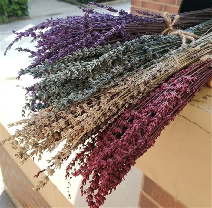 F1224 High Quality Lavender Flower Preserved Flower Dried Lavender