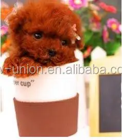 dog toy manufacturer