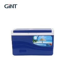 

Hot selling insulated mini disposable small 5l cooler box ice chest coolers