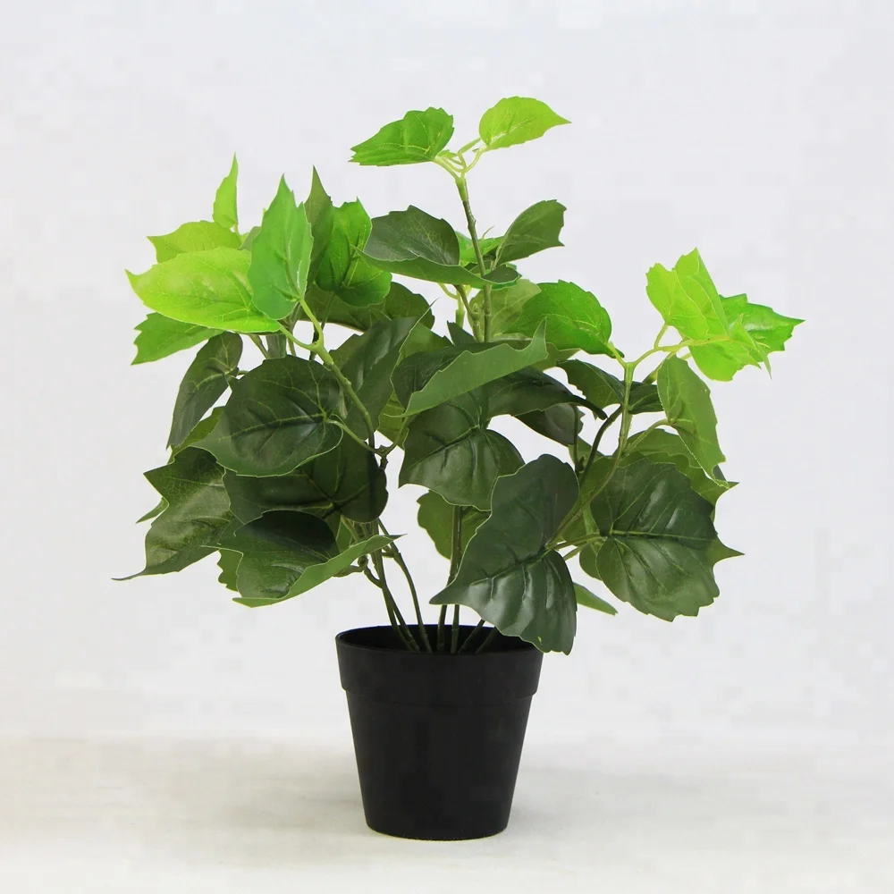 25pcs/ctn Plastic Boston Ivy Potted Home Natural Plants For Party ...