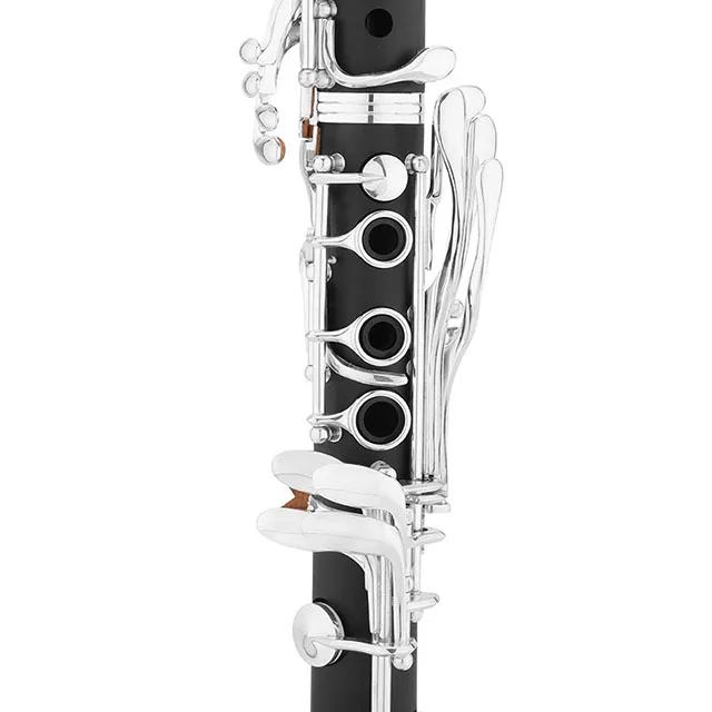 
Accept OEM Dasheng Music DSCL-711 17 Keys Bb Clarinet 