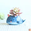 /product-detail/kawaii-whale-bird-resin-flowerpot-planter-cute-succulent-plants-flower-pot-60615832087.html