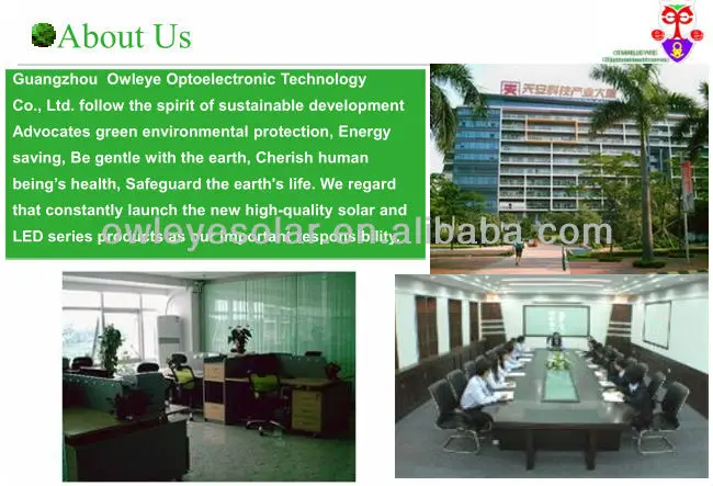 Company information1