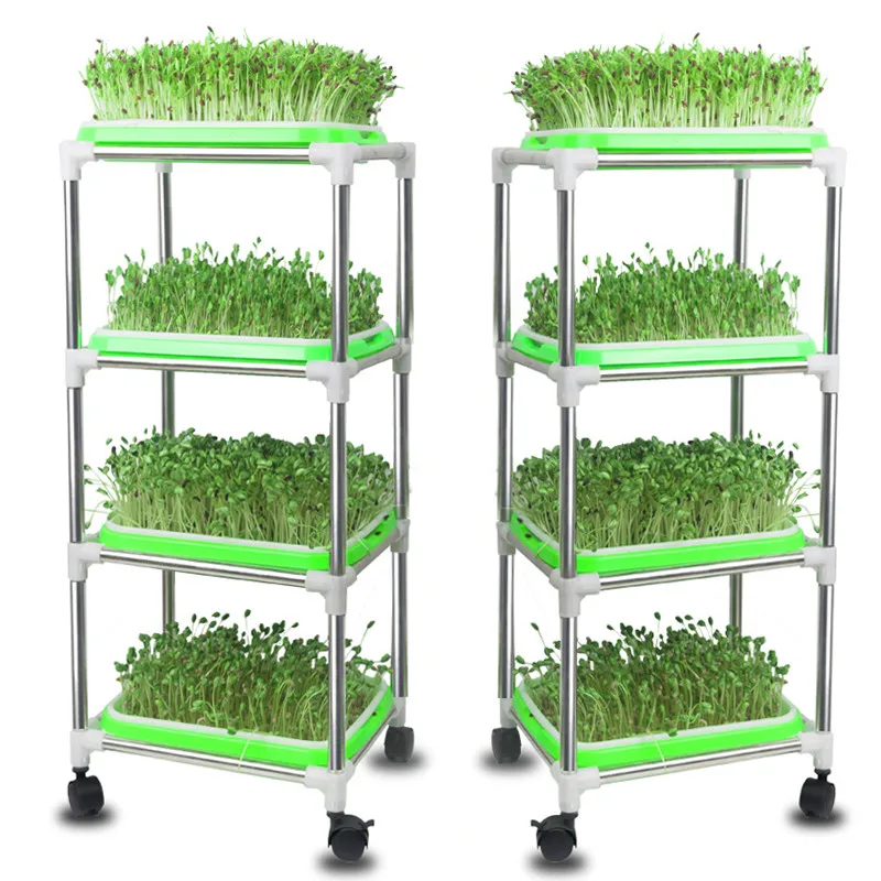 

Skyplant plants growing nursery seeding fodder trays for hydroponics