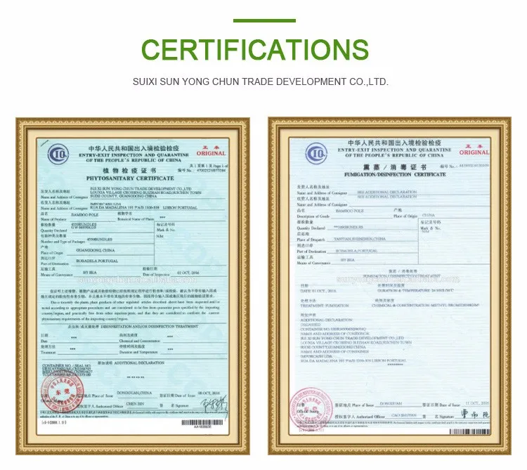 high quality eco-friendly natural decorative rolled reed fence for garden yarm farm