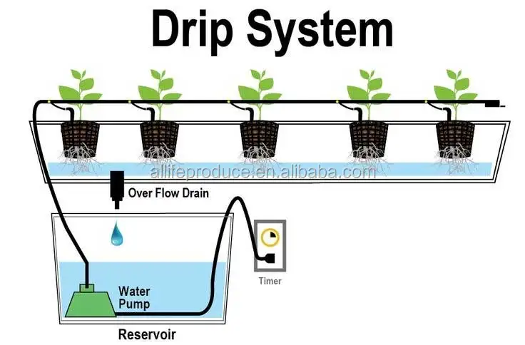 aquaponics.jpg