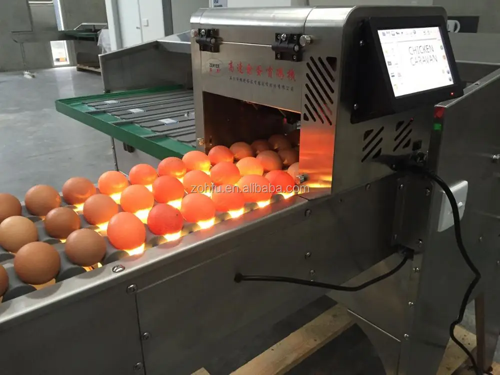 сортировка куриных яиц. цех инкубации рефтинская птицефабрика. сортировщик яиц. яйцесортировочная машина. машина для сортировки яиц ритм 16-6.
