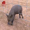 hot dipped galvanized 4 rails 5 rail corral panels /catle corral panels