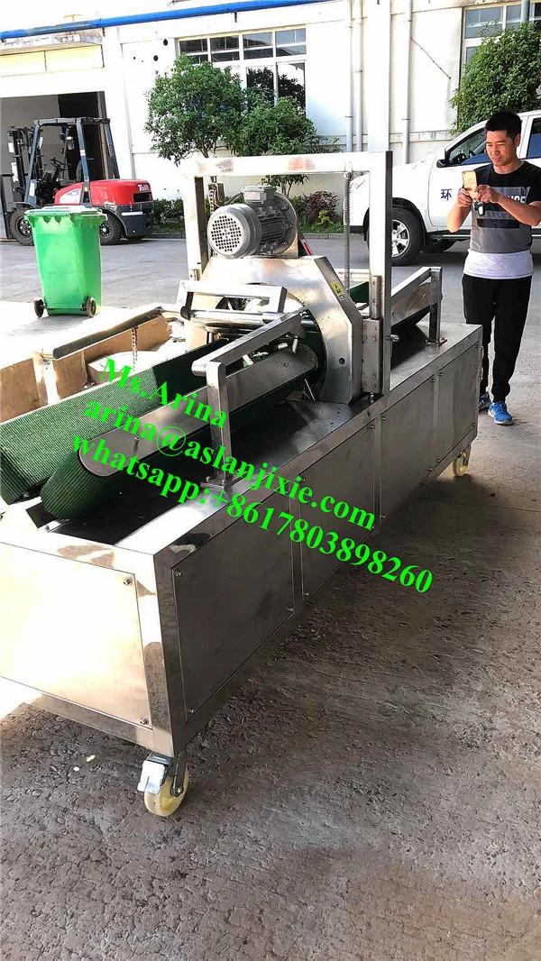 Cassaba Melon Peeling Machine Papaya Peeler Wax Gourd Peeling