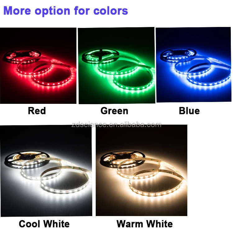 color options