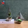 Meaty plant welding glass greenhouse vase DIY windows hang act the role