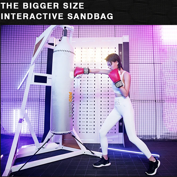 Free Standing Electronic Inflatable Intelligent Boxing Punching Bag