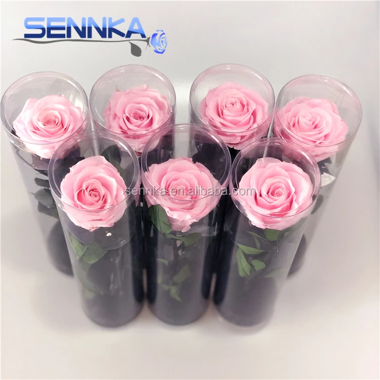 
Fresh Produce Mexico Long Stem Pink Flowers Real Touch Rose Flowers 