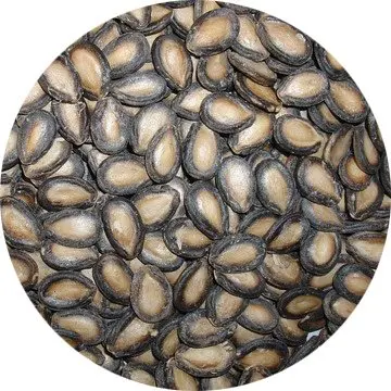 black melon seed3.jpg