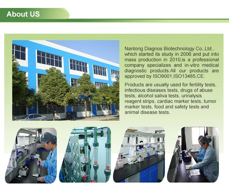 Company info Diagnos