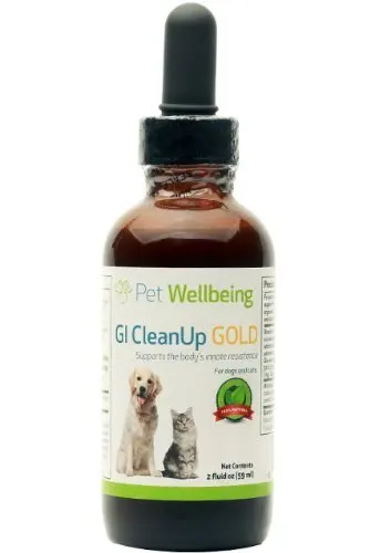 Pet Wellbeing - GI CleanUp Gold for Cat Worms - A Natural, Herbal Supplement for Treatment of Internal Parasites - Helps Maintain a Healthy Gastrointestinal (GI) Tract - 2 oz Liquid Bottle