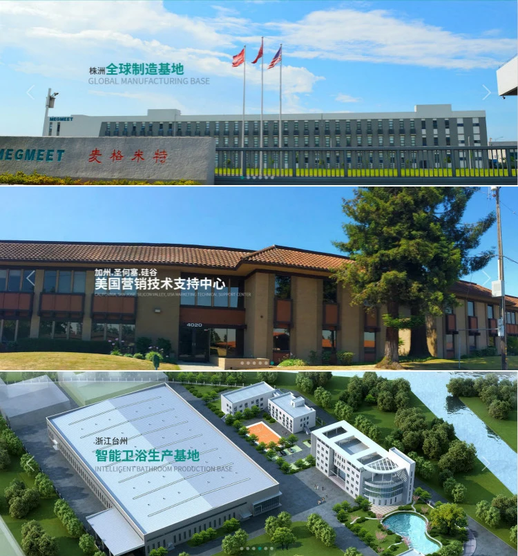 Megmeet Company Intro 2.jpg