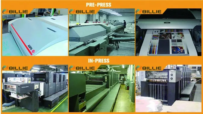 bible paper for sale