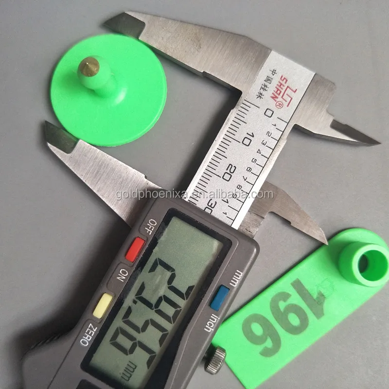 4545_.jpg
