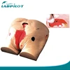 Advanced Decubitus Ulcer Care Simulator Model,Decubitus Wound Care Model