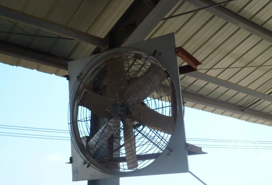 poultry farm equipment six blade cow house ventilation fan