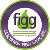 figg Excel Accounting Solutions