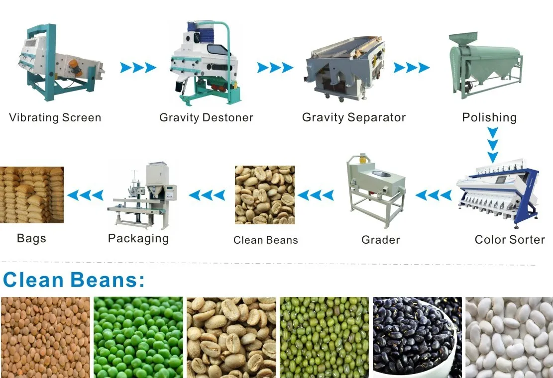 Green Coffee Bean Processing System Plant Machinery Buy Green Coffee