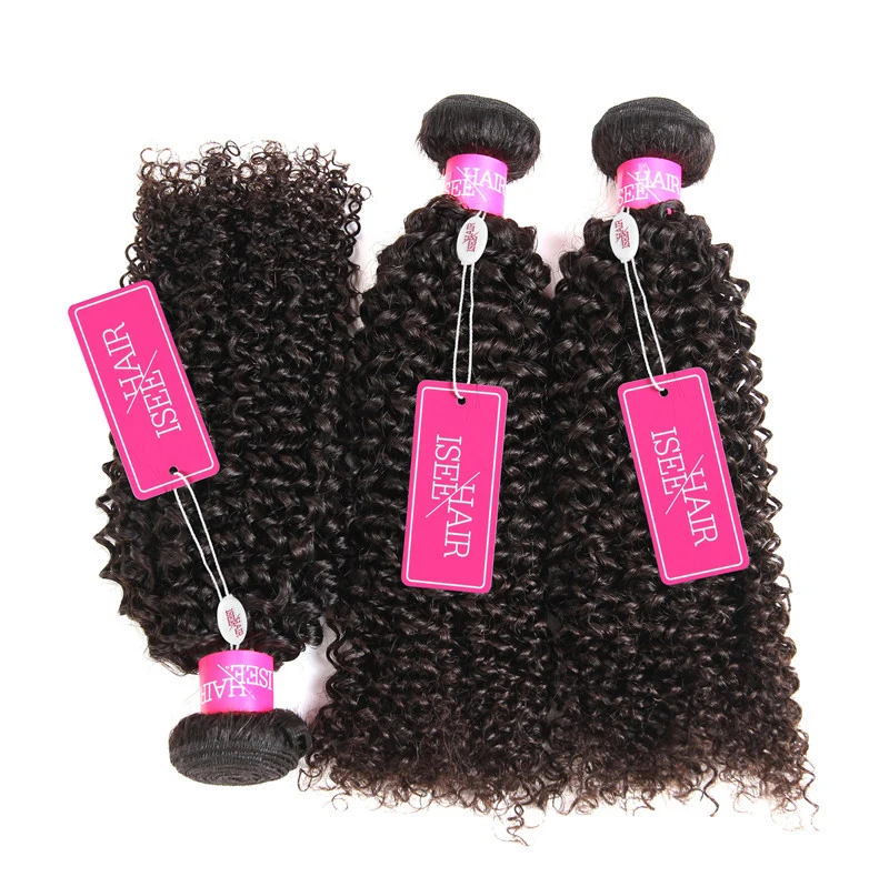 

Brazilian Kinky Curly Virgin Hair Afro Hair Human Weave Brazilian Hair Extension