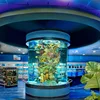 PG Luxury Design Customized Cylinder Acrylic Aquarium Tank For Sale