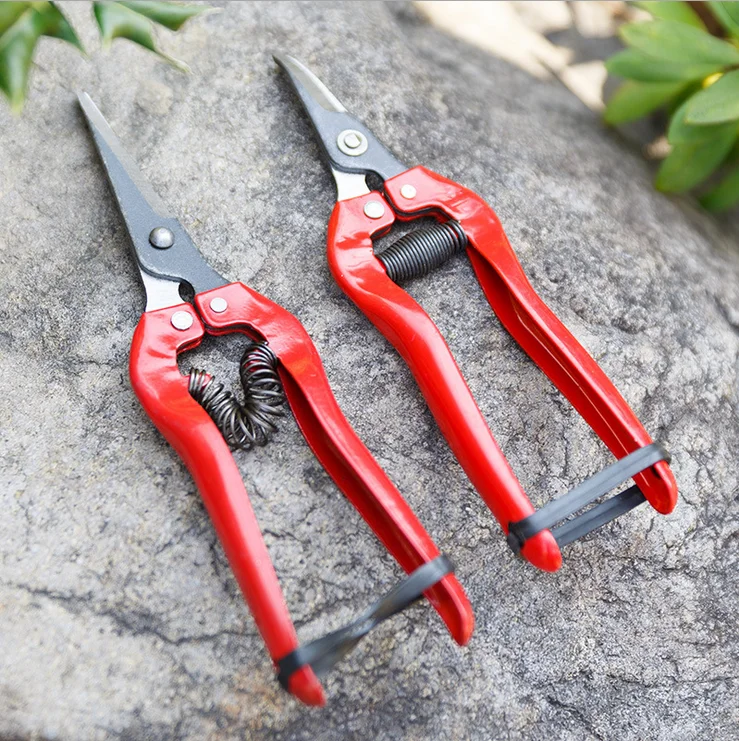 Amazon Bestseller Sharp Florist Garden Scissors Straight Blade Pruning Shears Buy Straight