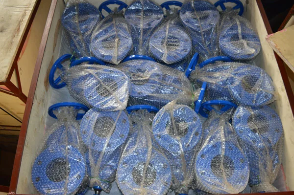 packing gate valve wooden ctn2.jpg