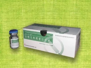 
High Speed Cartoning Machine Carton Box Packing Machine for blisters tubes sachets bags bottles 