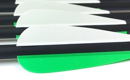 4195049564_700593126_