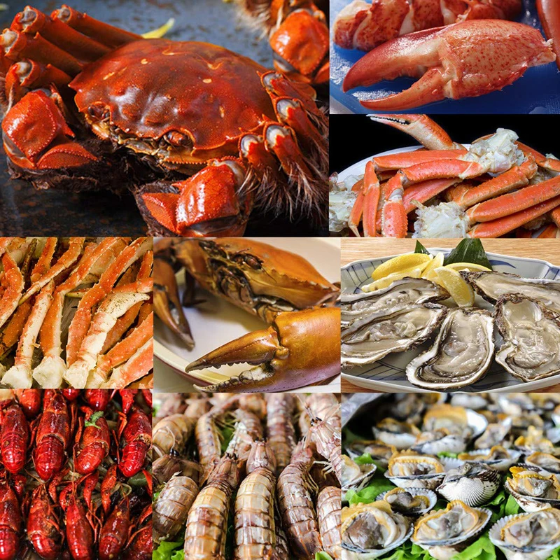
12Pcs Seafood Tools Crab Crackers Nut Cracker Forks Set Opener Shellfish Lobster Leg Sheller Knife Kitchen Accessories 