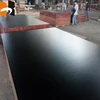 Concrete Eucalyptus Timber Panels Construction Formwork