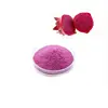 Factory Supply Bulk Red Pitaya Fruit Juice Powder for Summer Cold Drinks