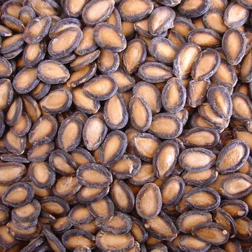 black melon seed1.jpg