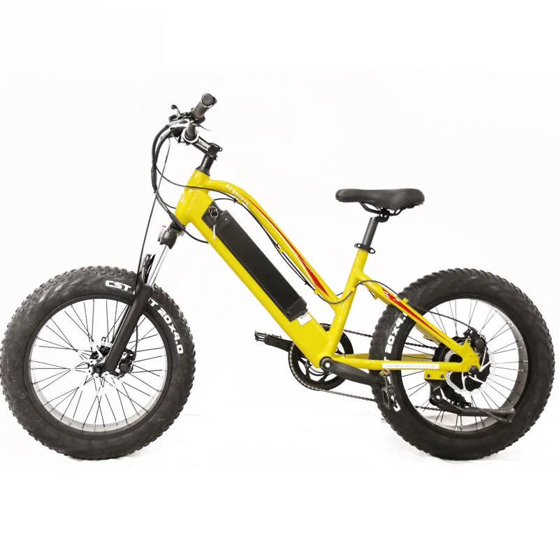 electric bicycle buy online