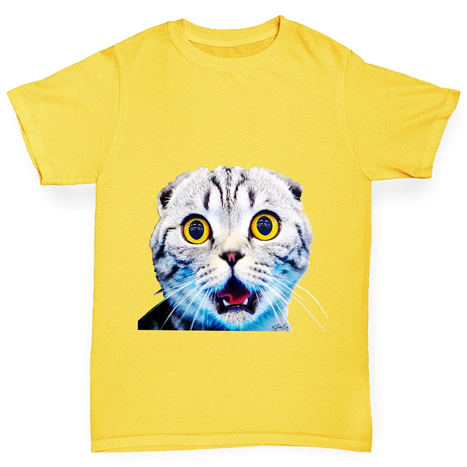 Twisted Envy Girl/'s Platato Plato Funny Cotton T-Shirt