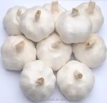 中国新作物白蒜