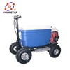 engine powered scooter eec 50cc gas cooler scooter with petrol engine